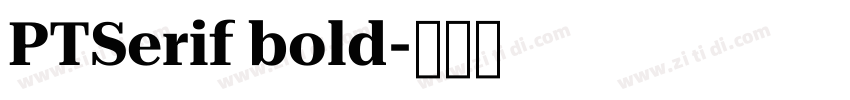 PTSerif bold字体转换